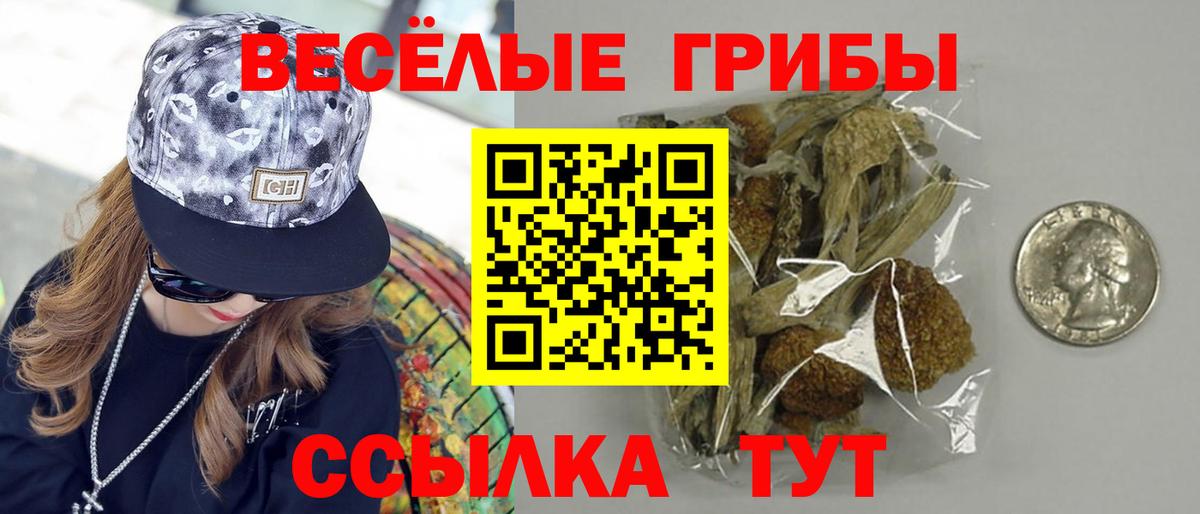 Псилоцибиновые грибы GOLDEN TEACHER Урус-Мартан