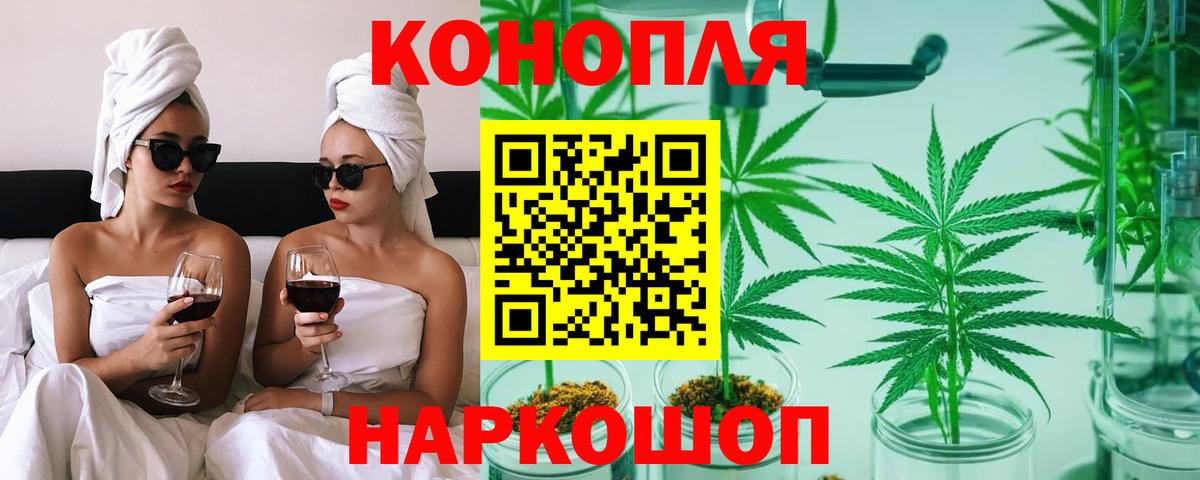Конопля тримм  Каннабис индика  Урус-Мартан  Вход с VPN 